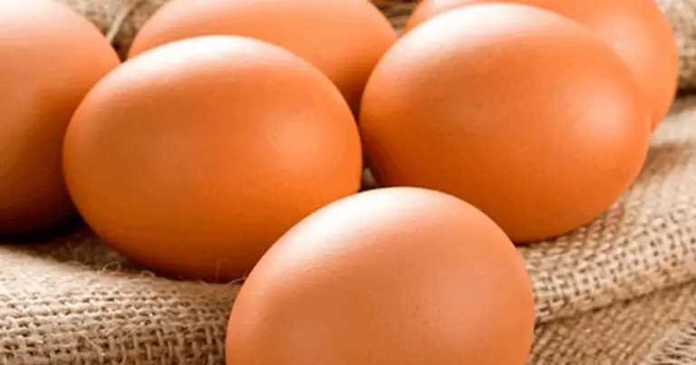 Cebolla para gallinas: guía rigurosa para usarla (o evitarla) en la alimentación de tu corral