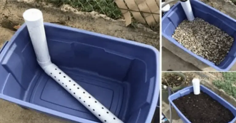 Guía completa para crear y mantener jardines en contenedores autorriegables