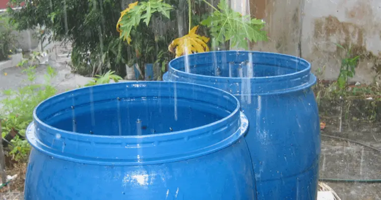 Sistema de recolección de agua de lluvia con barriles: ahorro inteligente y ecológico 💧🌿