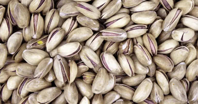 Cómo cultivar un árbol de pistacho a partir de pistachos comprados en el supermercado