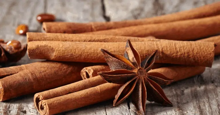 Los sorprendentes beneficios de la canela para las plantas: un aliado natural en tu jardín