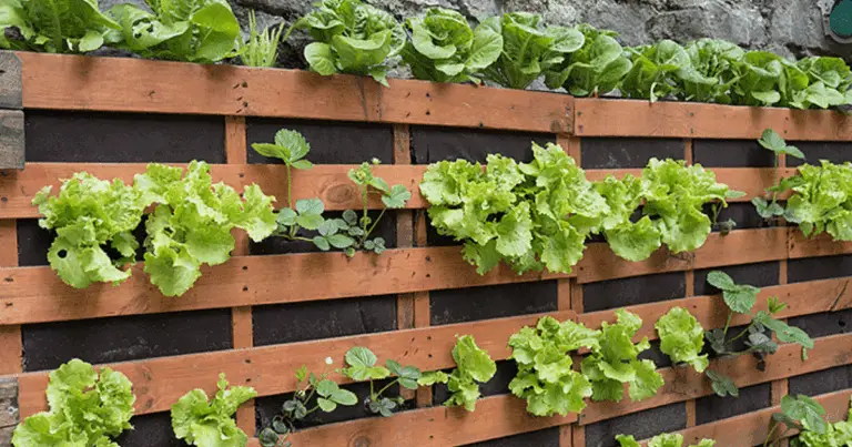 Mini huerto vertical sostenible: guía completa para cultivarlo en casa