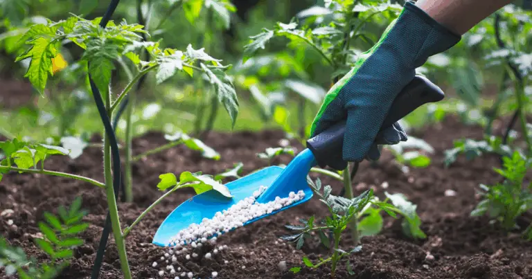 5 residuos naturales que nutren tus plantas