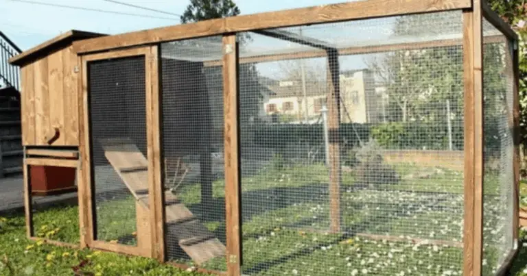 Palomar-gallinero compacto de dos niveles: diseño funcional para pequeños espacios