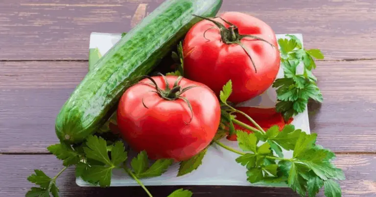 Secretos para cosechar tomates, pepinos y pimientos gigantes con un solo comprimido