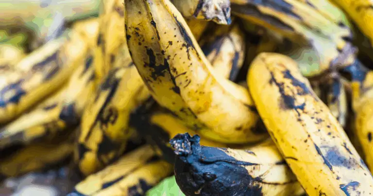 Los diferentes estados de maduración del plátano y sus beneficios