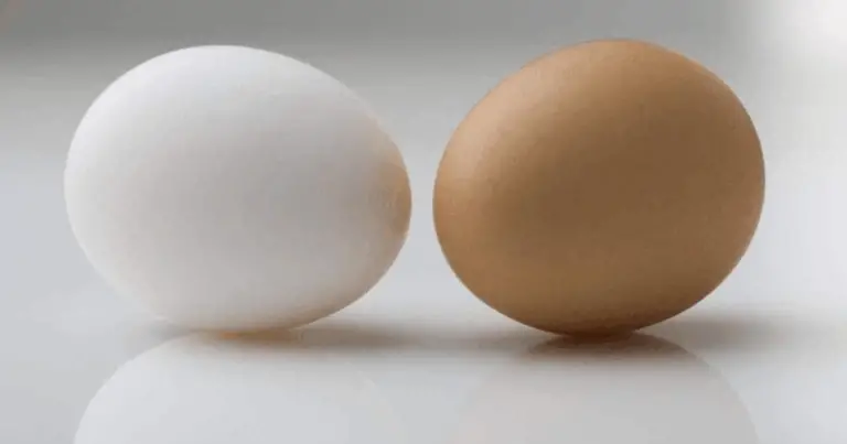 El color del huevo y el lóbulo de la gallina: una conexión natural sorprendente