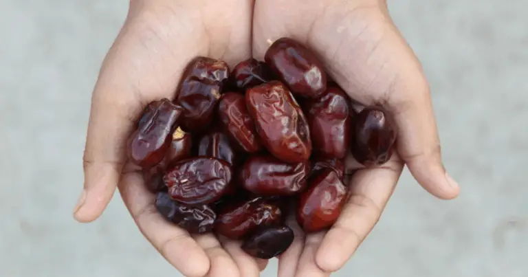 Beneficios de las dátiles: una fruta energética y nutritiva para el bienestar integral