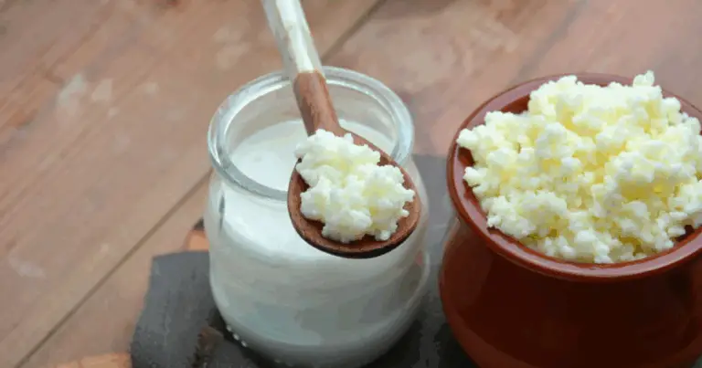 Secretos para usar kéfir como suplemento natural en el jardín