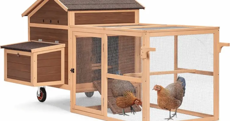 Gallineros ecológicos y funcionales para el hogar: diseño, sostenibilidad y bienestar animal