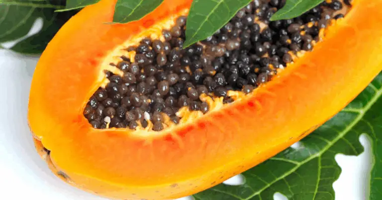 Cómo cultivar papaya en maceta: guía completa para un cultivo abundante en casa