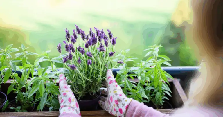 Plantas que repelen insectos: guía completa para mantener tu hogar y jardín libres de plagas de forma natural