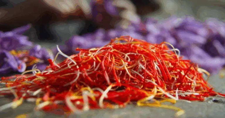 Cómo Cultivar Azafrán en Macetas en Casa: Guía Completa Paso a Paso