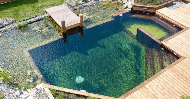 Piscina natural: cómo disfrutar de un baño ecológico sin cloro