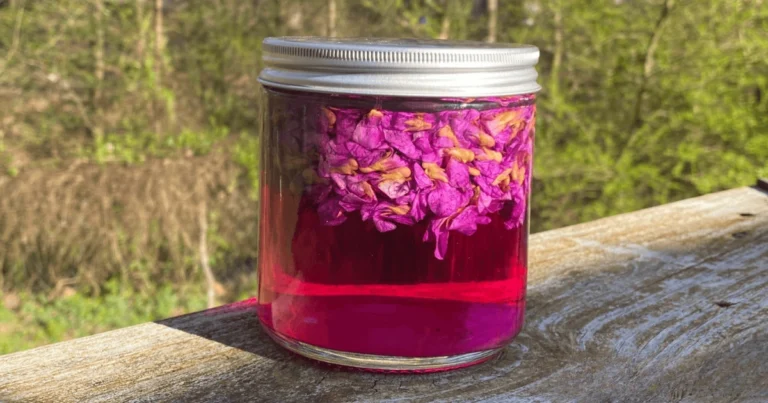 Las violetas: un remedio natural para fortalecer los pulmones