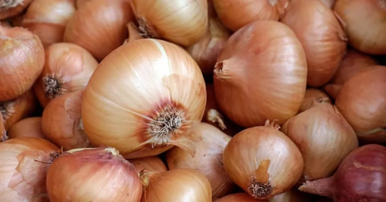 Verduras que Ayudan a Regular la Glucosa de Forma Natural
