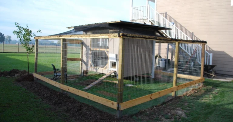 Cómo Construir un Galinero Barato y Funcional en Casa