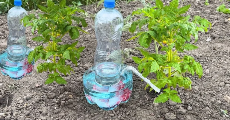Sistema de riego automático casero para el huerto: guía completa y práctica