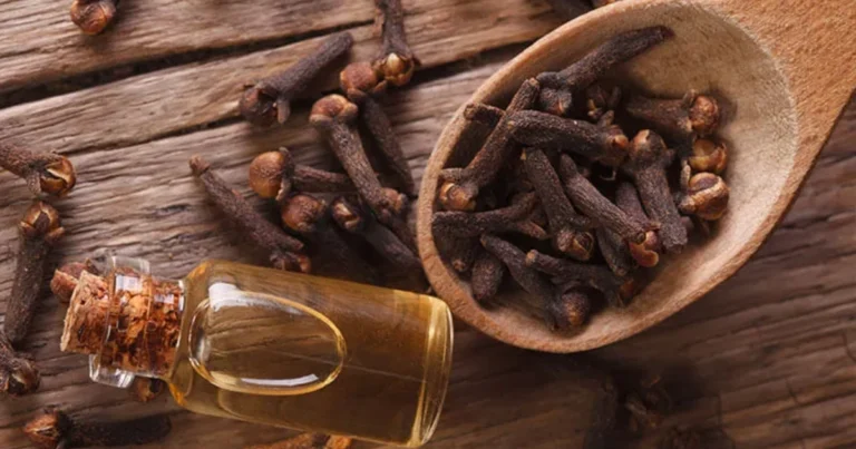 Beneficios del clavo de olor: cómo aprovechar esta especia en tu rutina diaria