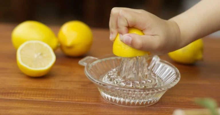 Cómo construir un galinero barato y funcional en casa