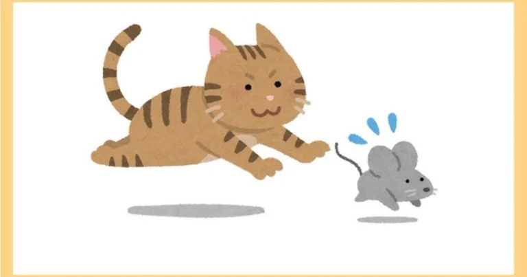 Los mejores alimentos naturales para tu gato