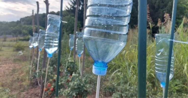 Irrigación por goteo con botellas y perfusores: guía completa para un riego eficiente y sostenible