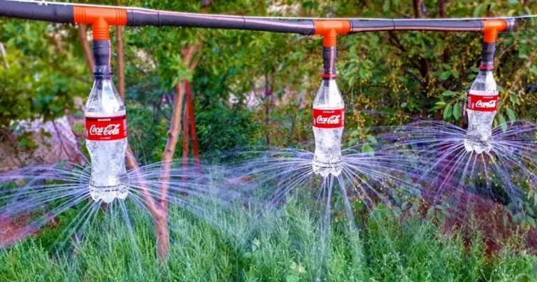 Sistema de riego casero con botellas: guía completa para ahorrar agua en el jardín