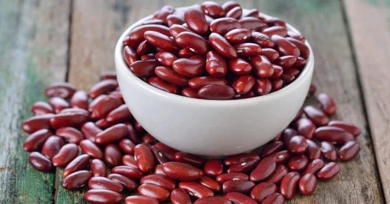 Comparación entre la Carne de Res y los Frijoles Rojos: Beneficios y Diferencias Nutricionales
