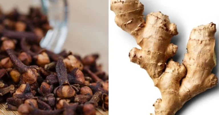 Los beneficios del clavo de olor combinado con otros remedios naturales