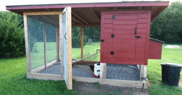 Cómo Construir un Gallinero Bien Diseñado para Gallinas Sanas y Productivas