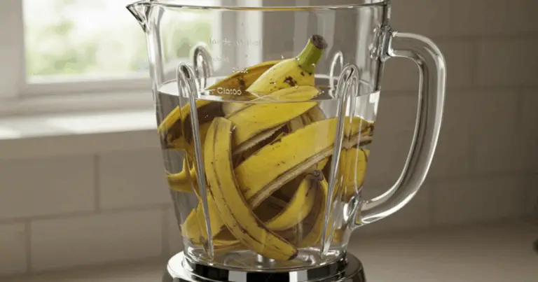 Fertilizantes Caseros para Plantas: 12 Opciones Naturales y Eficaces para Nutrir tu Jardín