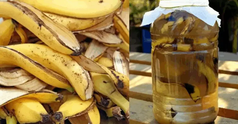 Fertilizante casero para fortalecer cebollas, tomates y pimientos: guía completa para un crecimiento saludable