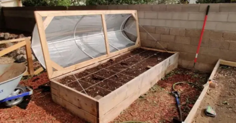 Cómo construir un gallinero inteligente y calefaccionado: guía completa y sostenible