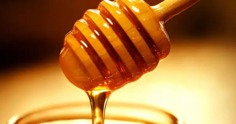 La miel como medicina natural: usos tradicionales, beneficios y aplicaciones prácticas
