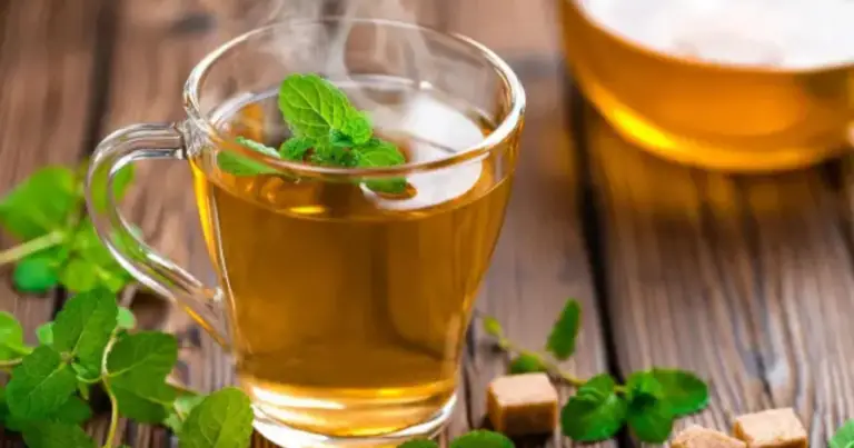 Infusión natural de hojas para el bienestar general: preparación, uso y recomendaciones