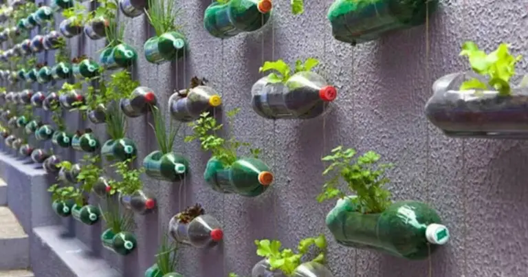 Cómo mantener las plantas hidratadas durante las vacaciones: guía práctica y efectiva