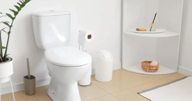 Inodoro limpio de forma natural: cómo usar vinagre blanco de manera eficaz y segura