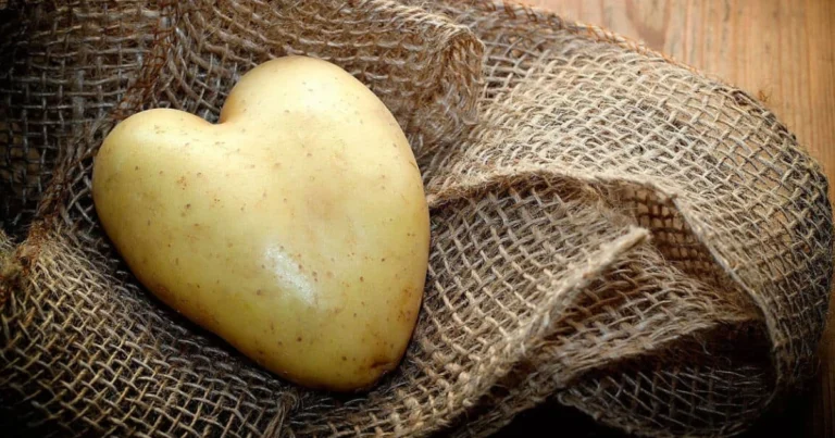 La papa y su valor nutricional: por qué es un alimento completo y saludable