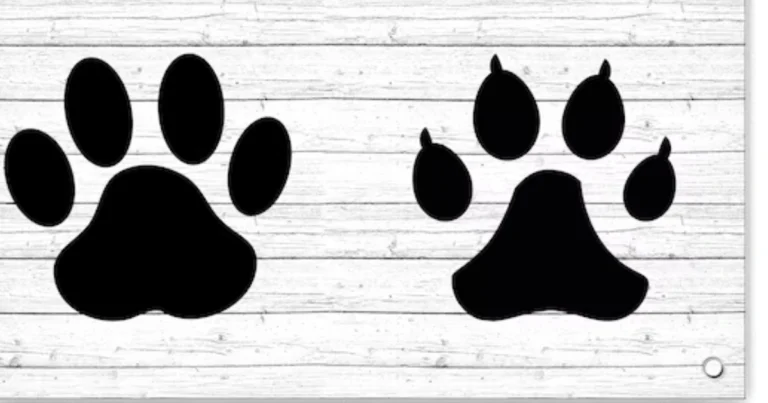 Repelente natural para evitar marcajes: solución efectiva y segura para el hogar