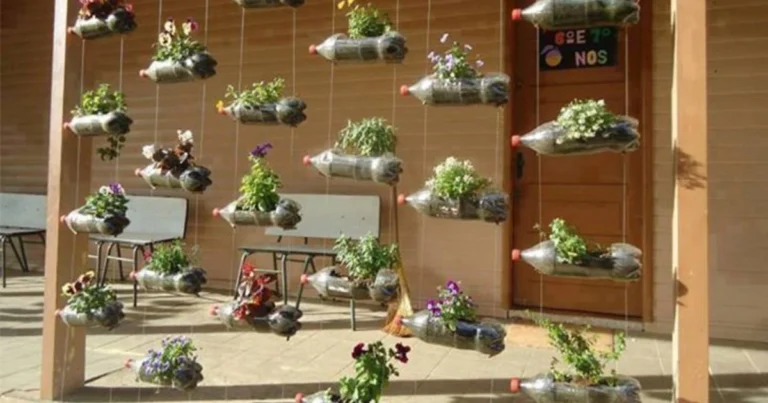 Jardinería vertical en espacios pequeños: cómo cultivar más en menos lugar