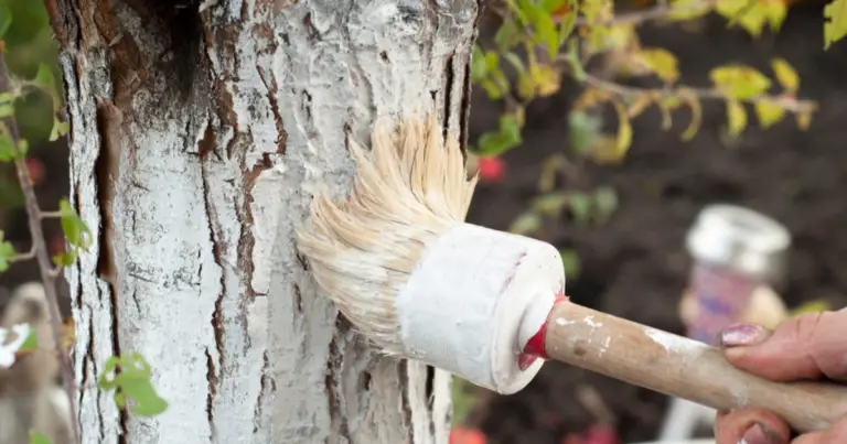 El secreto de los árboles fuertes: cómo proteger los troncos de forma tradicional y responsable
