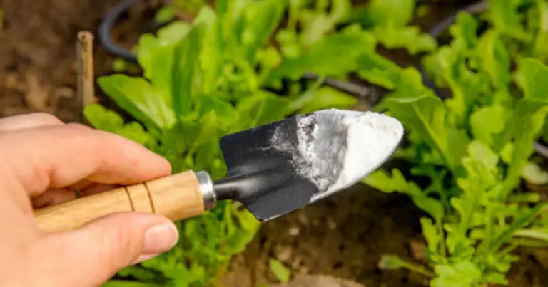 8 usos del bicarbonato de sodio en el jardín: trucos prácticos, seguros y efectivos