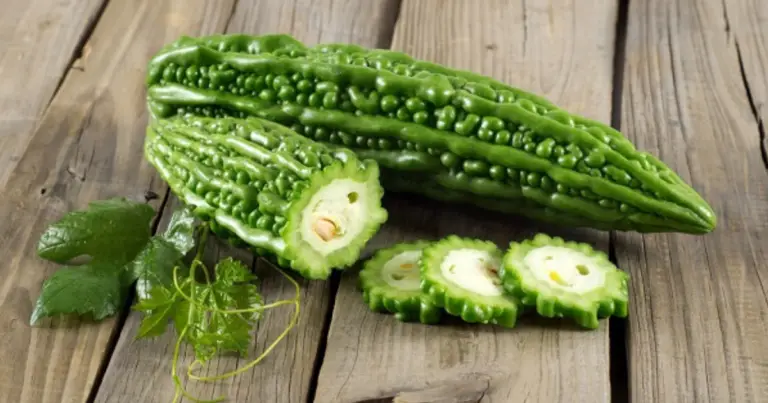 Cultivo vertical de calabaza amarga en maceta: cómo producir bitter melon en poco espacio y con mejores resultados