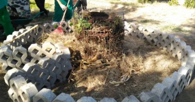 Huerto keyhole o “cama en cerradura”: cómo crear un huerto circular con compostaje integrado