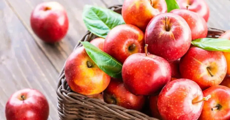 Cómo plantar manzana en casa y cultivar tu propio manzano paso a paso