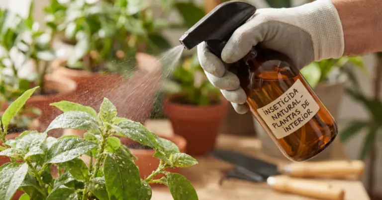 Alcohol de ajo como insecticida natural: guía completa para eliminar plagas del jardín