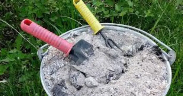 Beneficios de la ceniza de madera en la agricultura: uso correcto y ventajas reales