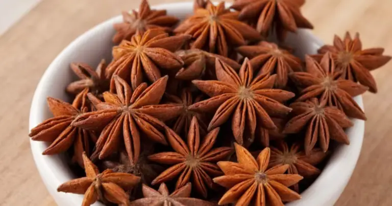 Cultivo del anís estrellado: guía completa desde la planta hasta la cosecha