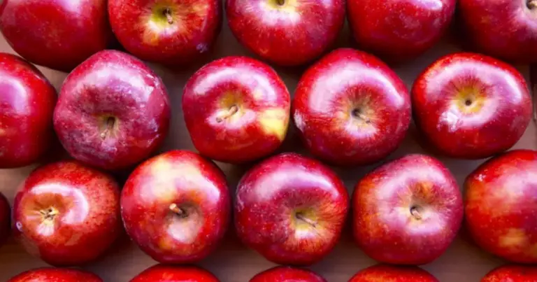 Cómo cultivar manzanas sin gastar dinero: guía completa para obtener una plántula en pocos días