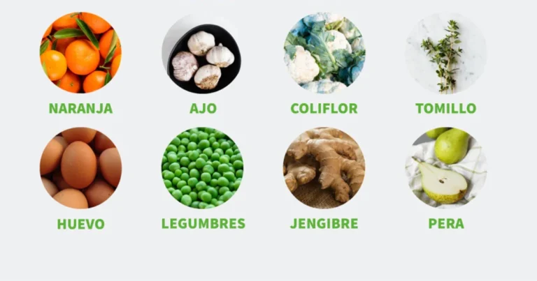 Qué comer cuando estás enfermo: alimentos suaves que apoyan la recuperación